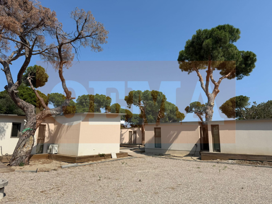 Εισαγγελική παρέμβαση μετά την αποκάλυψη του protothema.gr για bungalows που ξεφύτρωσαν «εν μία νυκτί» εντός του εθνικού πάρκου του Σχινιά