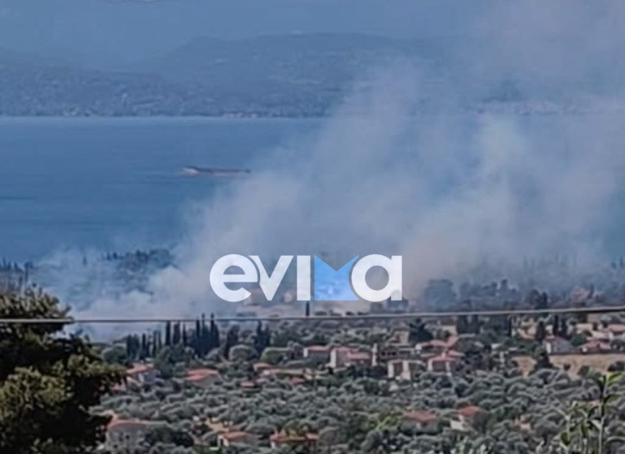 Φωτιά τώρα στην Ερέτρια, καίει κοντά σε σπίτια - Εστάλη και μήνυμα 112