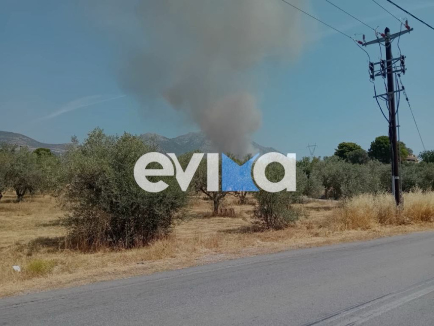 Φωτιά τώρα στην Ερέτρια, καίει κοντά σε σπίτια - Εστάλη και μήνυμα 112