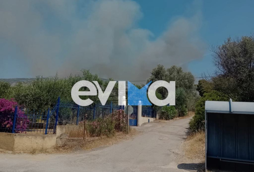 Φωτιά τώρα στην Ερέτρια, καίει κοντά σε σπίτια - Εστάλη και μήνυμα 112