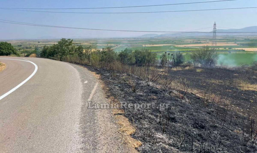 Φωτιά τώρα στον Δομοκό, καίει σε αγροτική έκταση - Σηκώθηκαν δύο αεροσκάφη