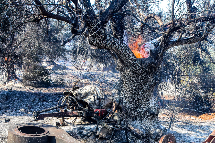 Καλύτερη η εικόνα της φωτιάς στην Αργολίδα - Μήνυμα του 112 για εκκένωση της περιοχής Άνω Καρνεζαίικα, δείτε φωτογραφίες