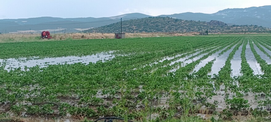 Καταιγιδοφόρο νέφος ύψους 12 χιλιομέτρων στη Θεσσαλία – Προβλήματα από την κακοκαιρία, σε ποιες περιοχές θα βρέξει το Σάββατο