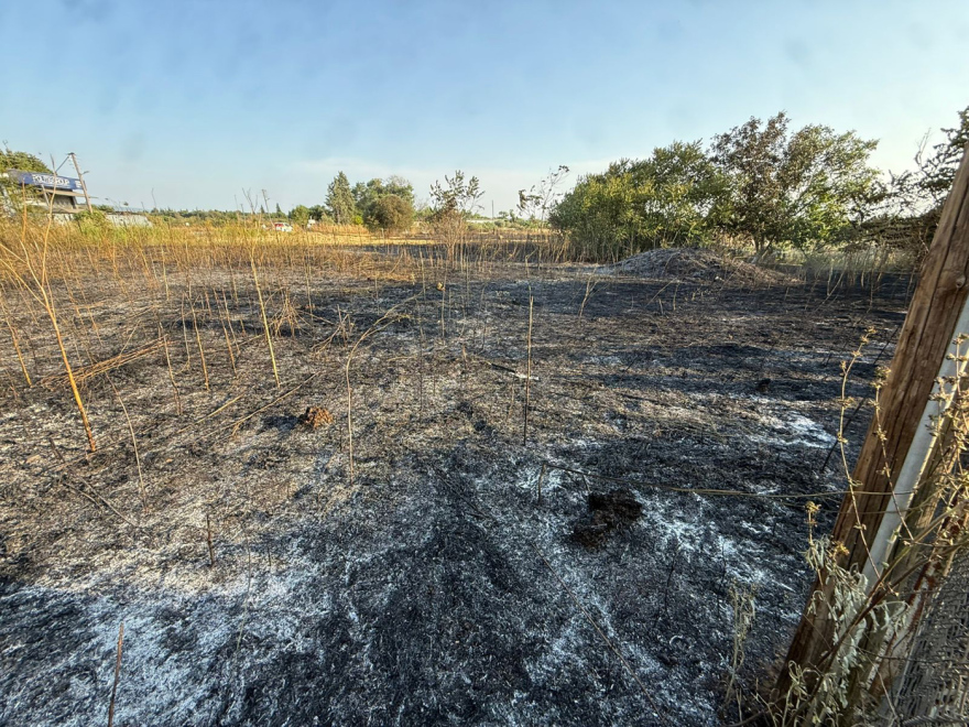 Και δεύτερη φωτιά στη Θεσσαλονίκη στην περιοχή του Διαβαλκανικού - Δείτε βίντεο και φωτογραφίες
