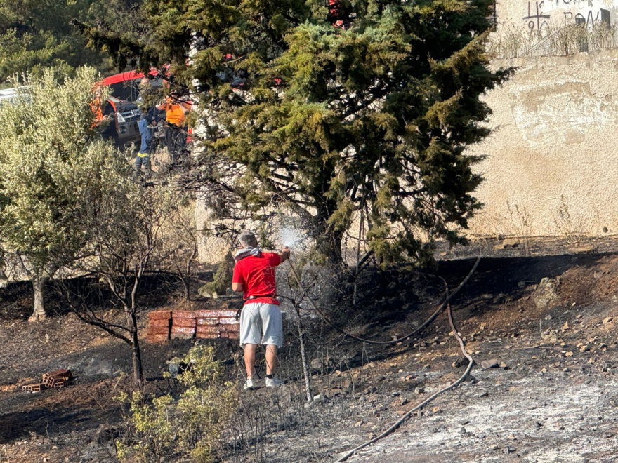 Σε ύφεση η φωτιά στην Ευκαρπία Θεσσαλονίκης - Δείτε βίντεο και φωτογραφίες