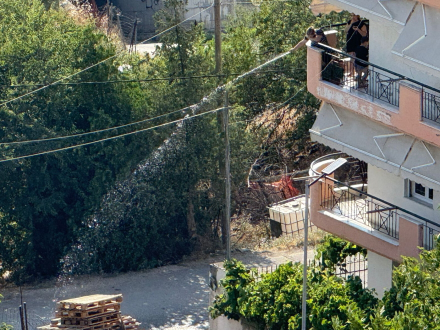 Σε ύφεση η φωτιά στην Ευκαρπία Θεσσαλονίκης - Δείτε βίντεο και φωτογραφίες