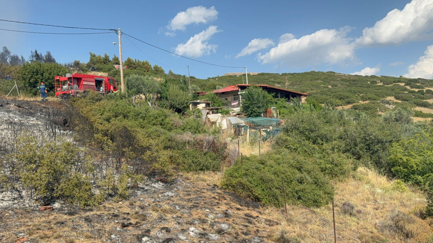 Σε ύφεση η φωτιά στην Ευκαρπία Θεσσαλονίκης - Δείτε βίντεο και φωτογραφίες