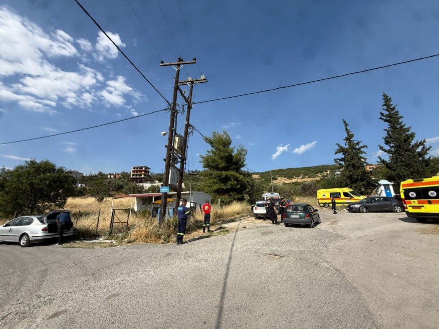Σε ύφεση η φωτιά στην Ευκαρπία Θεσσαλονίκης - Δείτε βίντεο και φωτογραφίες