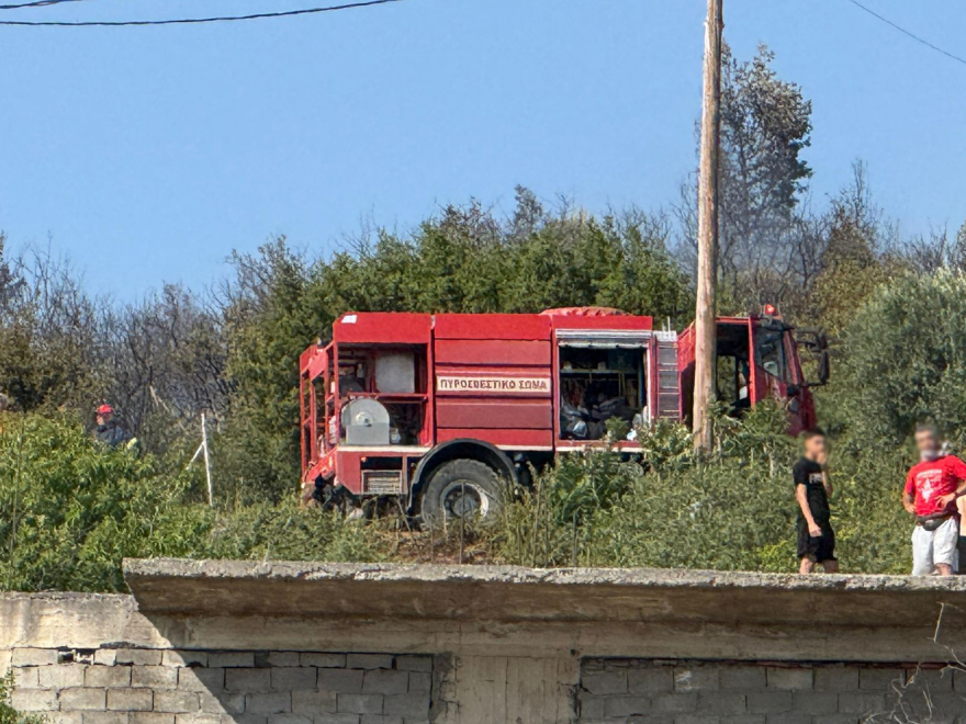 Σε ύφεση η φωτιά στην Ευκαρπία Θεσσαλονίκης - Δείτε βίντεο και φωτογραφίες
