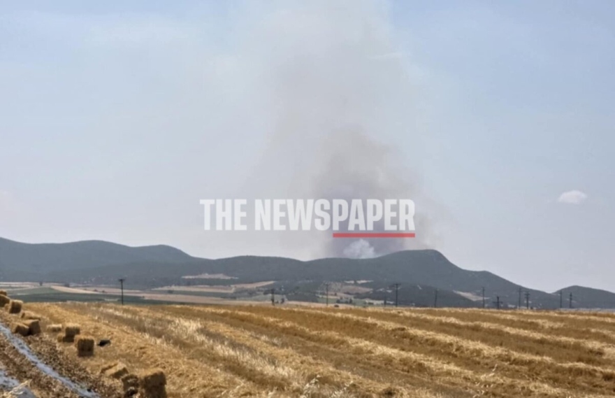 Μεγάλη φωτιά στον οικισμό Κοκκίνα στα όρια Μαγνησίας – Λάρισας