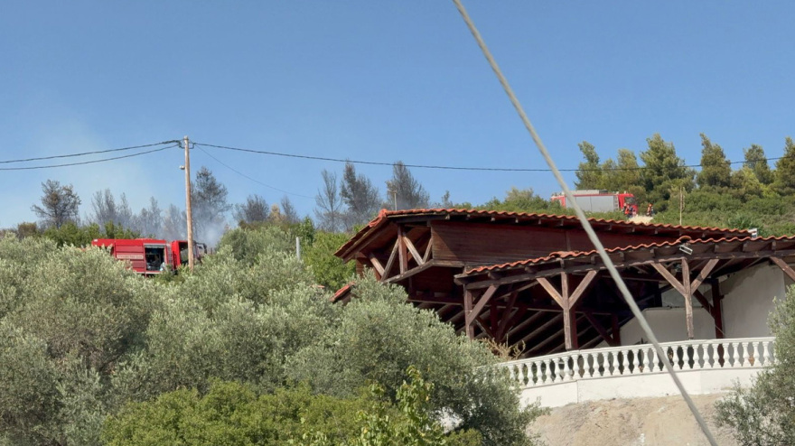 Φωτιά στην Ευκαρπία Θεσσαλονίκης πίσω από το νοσοκομείο Παπαγεωργίου - Μήνυμα από το 112