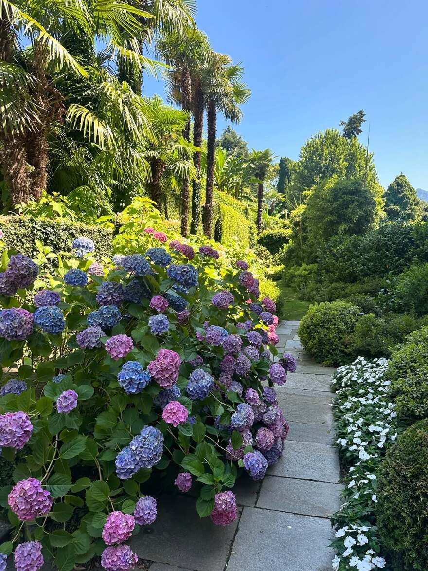 Η Κιάρα Φεράνι πόζαρε με μαγιό σε πισίνα