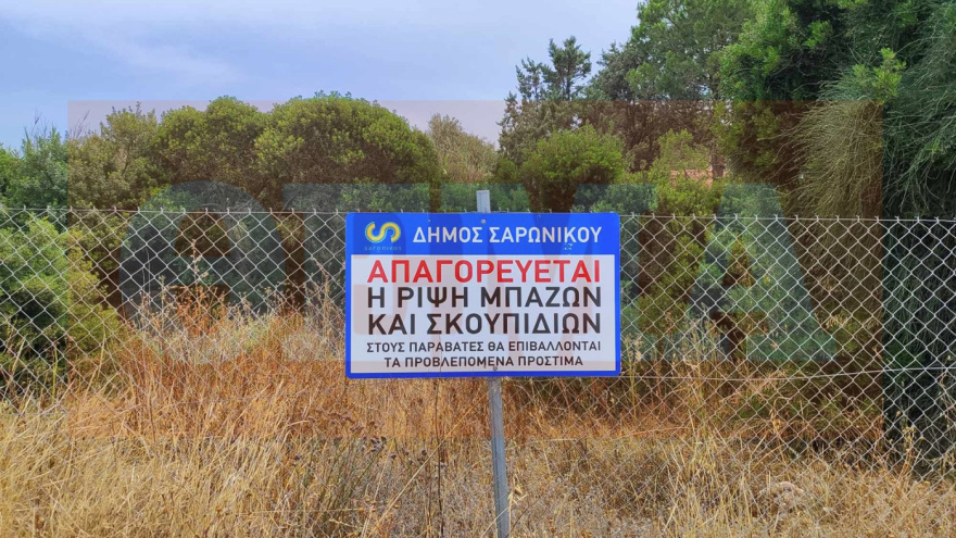 Βραχυκύκλωμα σε ακαθάριστο οικόπεδο: Βίντεο ντοκουμέντο για τη μεγάλη φωτιά στο Θυμάρι - Οι καταγγελίες και η στάση του Δήμου