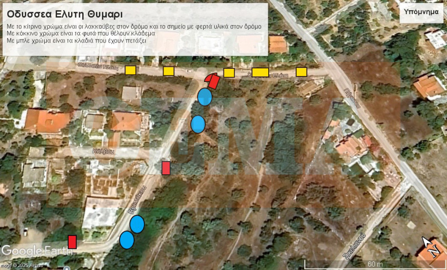 Βραχυκύκλωμα σε ακαθάριστο οικόπεδο: Βίντεο ντοκουμέντο για τη μεγάλη φωτιά στο Θυμάρι - Οι καταγγελίες και η στάση του Δήμου