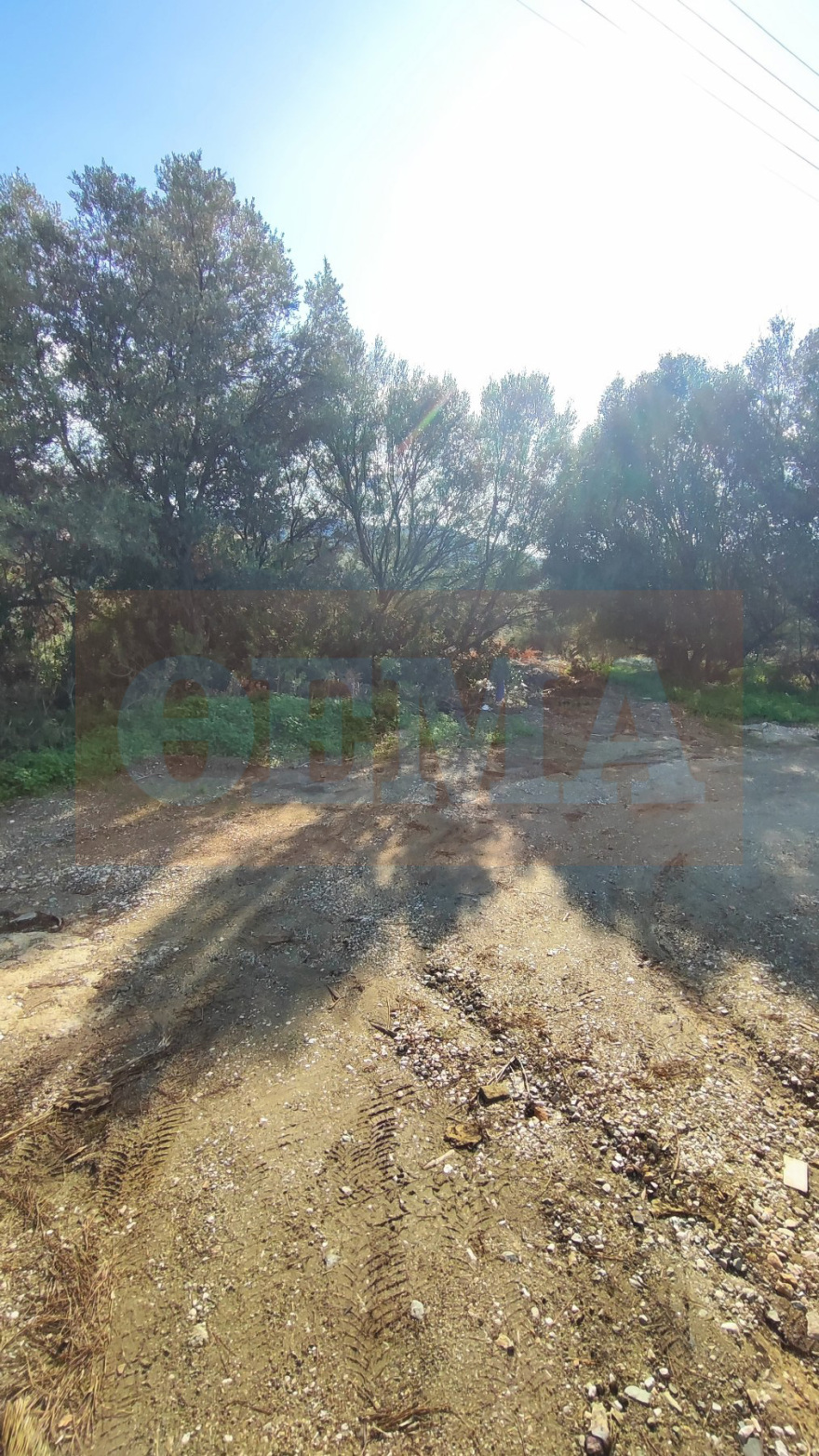 Βραχυκύκλωμα σε ακαθάριστο οικόπεδο: Βίντεο ντοκουμέντο για τη μεγάλη φωτιά στο Θυμάρι - Οι καταγγελίες και η στάση του Δήμου