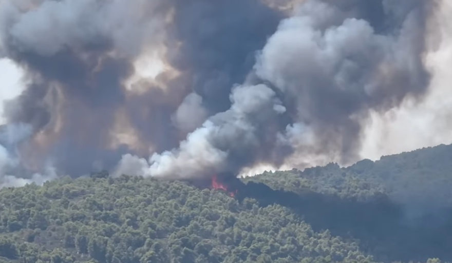 Μεγάλη φωτιά καίει πευκοδάσος στη Βουρβουρού Χαλκιδικής - Μήνυμα του 112 στους κατοίκους να απομακρυνθούν, δείτε βίντεο
