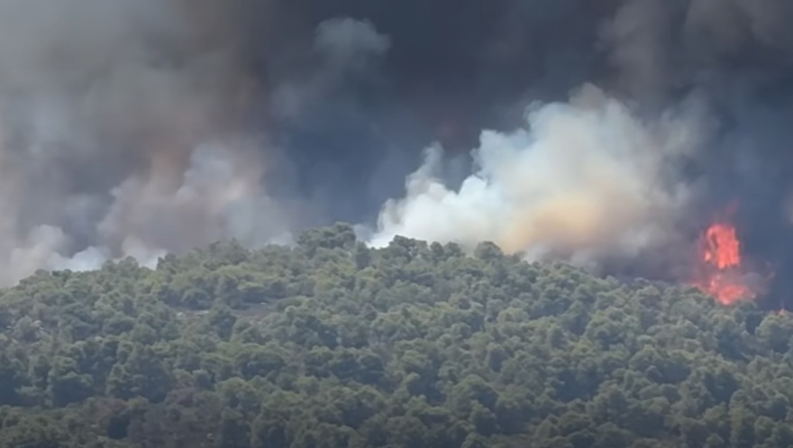 Μεγάλη φωτιά καίει πευκοδάσος στη Βουρβουρού Χαλκιδικής - Μήνυμα του 112 στους κατοίκους να απομακρυνθούν, δείτε βίντεο