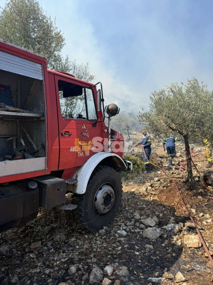 Οριοθετήθηκε η φωτιά στη Λάρυμνα Φθιώτιδας - Επιχειρεί η Πυροσβεστική, σηκώθηκαν έξι εναέρια
