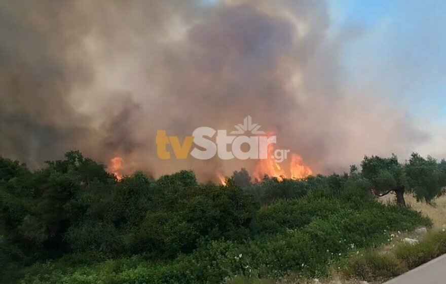 Οριοθετήθηκε η φωτιά στη Λάρυμνα Φθιώτιδας - Επιχειρεί η Πυροσβεστική, σηκώθηκαν έξι εναέρια