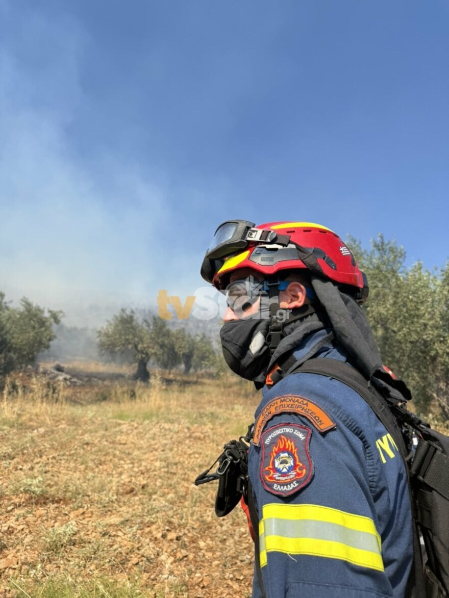 Οριοθετήθηκε η φωτιά στη Λάρυμνα Φθιώτιδας - Επιχειρεί η Πυροσβεστική, σηκώθηκαν έξι εναέρια