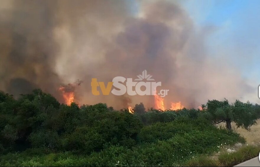 Οριοθετήθηκε η φωτιά στη Λάρυμνα Φθιώτιδας - Επιχειρεί η Πυροσβεστική, σηκώθηκαν έξι εναέρια