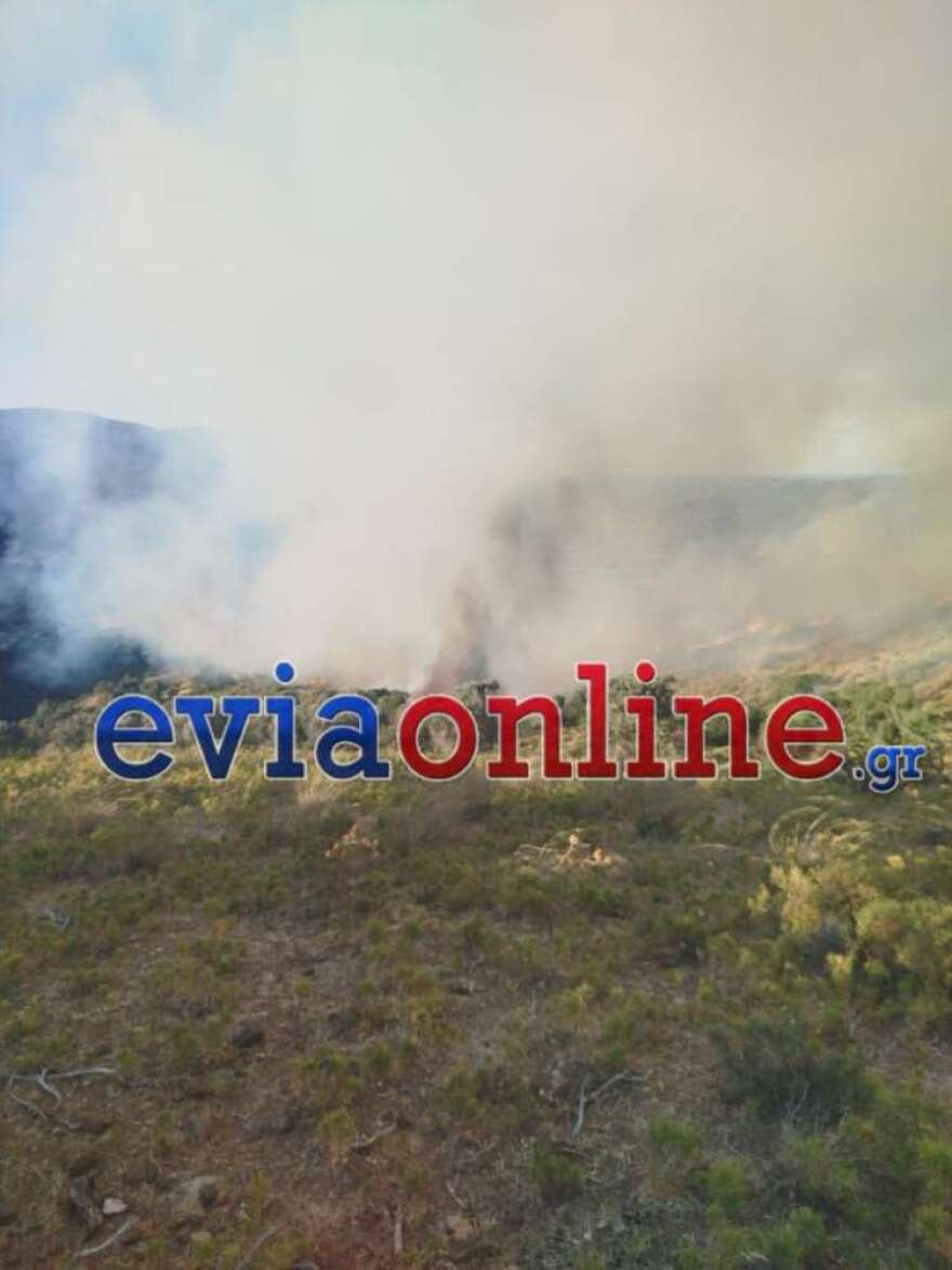 Επιχειρούν εναέρια μέσα στη φωτιά στα Μεσοχώρια της Εύβοιας: Νέο μήνυμα του 112 για εκκένωση του Λιμνιώνα, κοντά σε σπίτια οι φλόγες Επιχειρούν εναέρια μέσα στη φωτιά στα Μεσοχώρια της Εύβοιας: Νέο μήνυμα του 112 για εκκένωση του Λιμνιώνα, κοντά σε σπίτια οι φλόγες - Δείτε βίντεο και φωτογραφίες