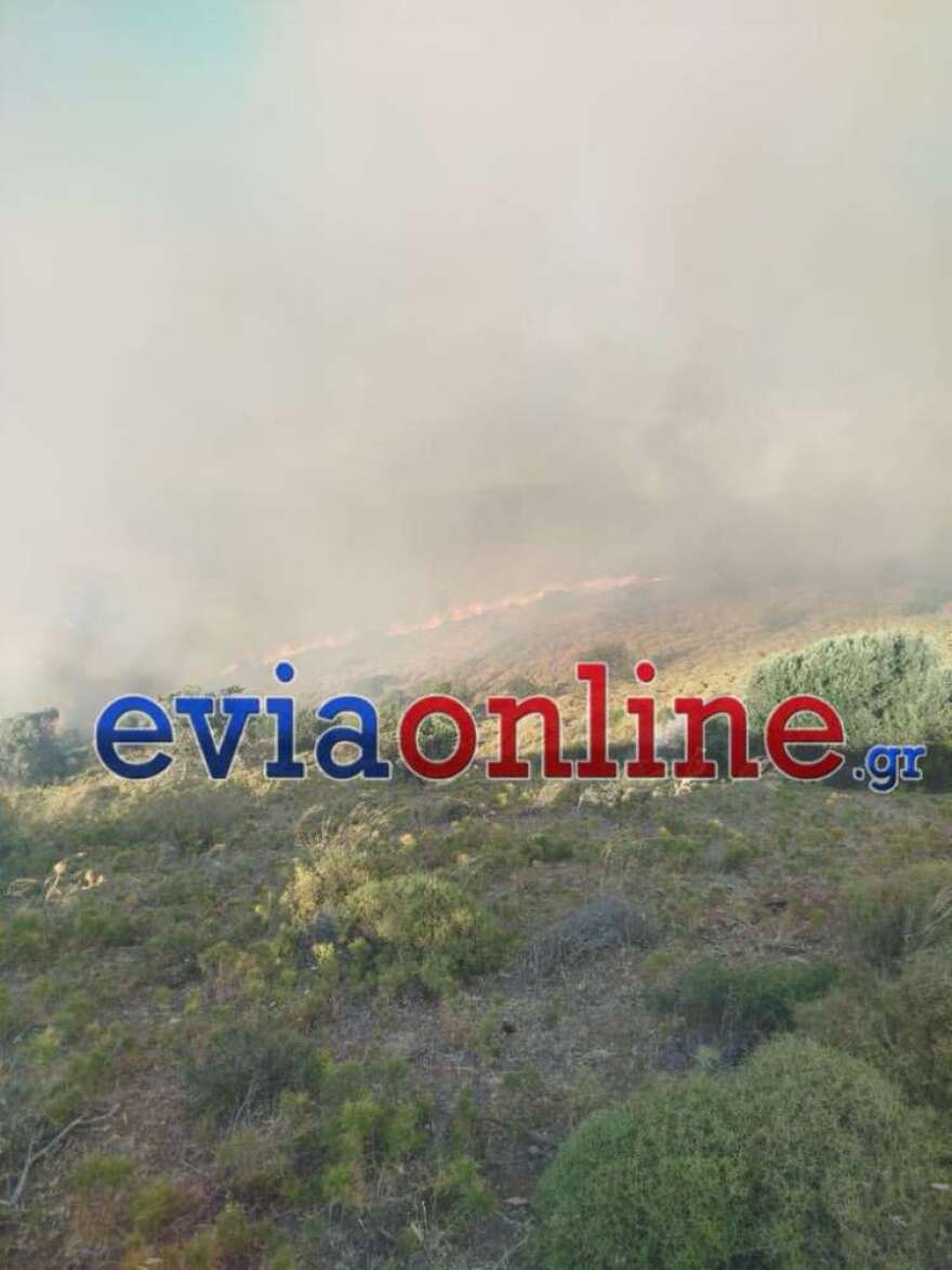 Επιχειρούν εναέρια μέσα στη φωτιά στα Μεσοχώρια της Εύβοιας: Νέο μήνυμα του 112 για εκκένωση του Λιμνιώνα, κοντά σε σπίτια οι φλόγες Επιχειρούν εναέρια μέσα στη φωτιά στα Μεσοχώρια της Εύβοιας: Νέο μήνυμα του 112 για εκκένωση του Λιμνιώνα, κοντά σε σπίτια οι φλόγες - Δείτε βίντεο και φωτογραφίες