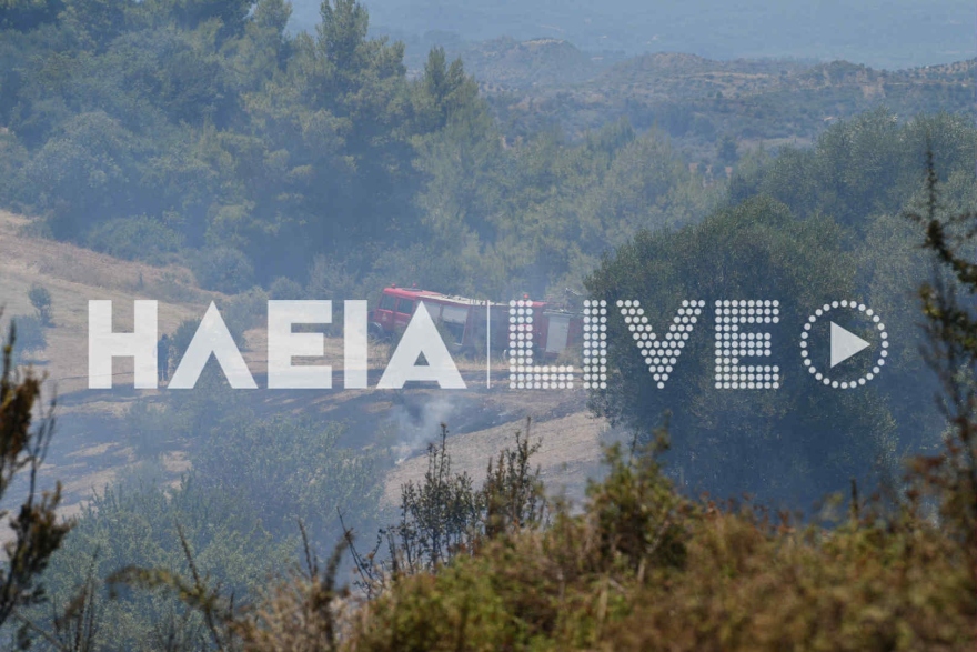 Χωρίς ενεργό μέτωπο η φωτιά στην Κάμενα Αρχαίας Ολυμπίας