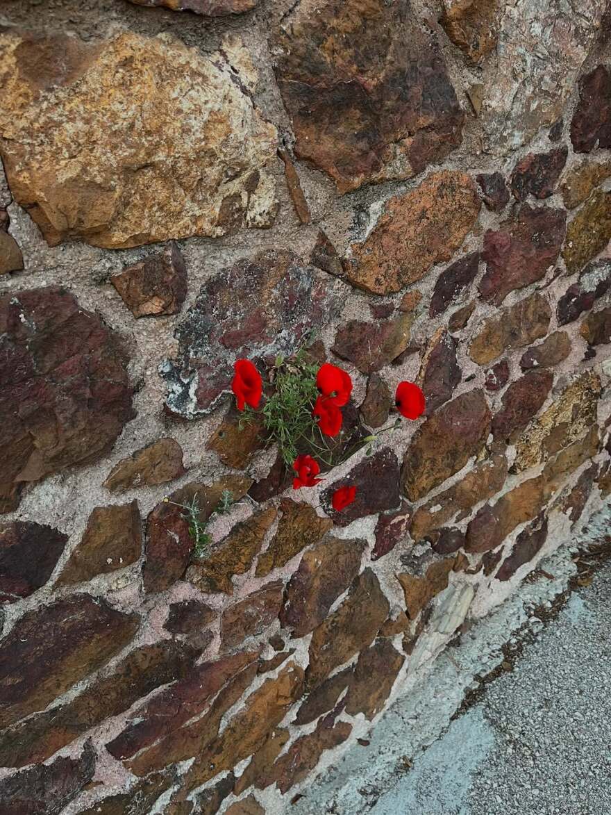 Η Δήμητρα Παπαδοπούλου φωτογραφίζεται στις διακοπές της μπροστά στο ηλιοβασίλεμα