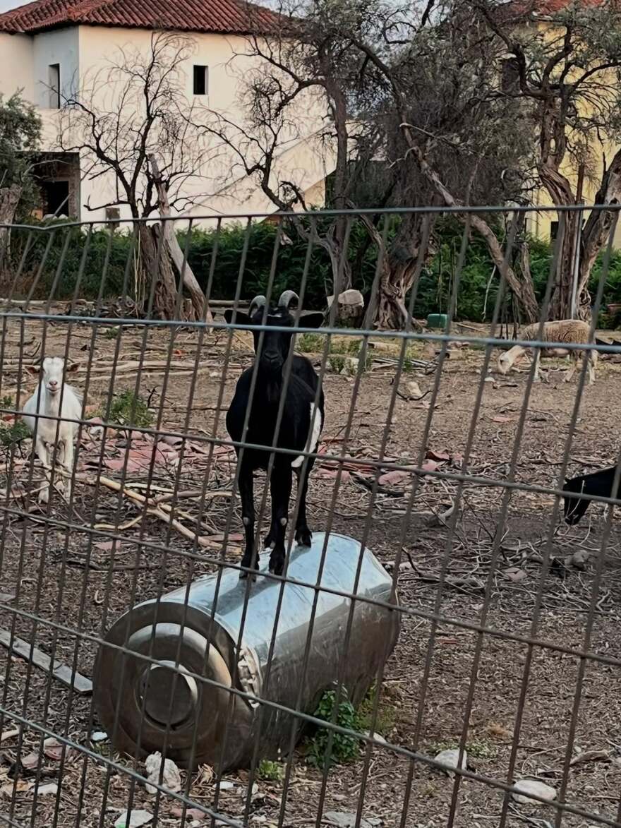 Η Δήμητρα Παπαδοπούλου φωτογραφίζεται στις διακοπές της μπροστά στο ηλιοβασίλεμα