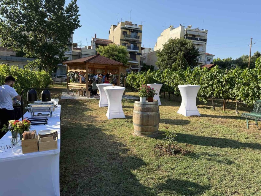 Ένας διαφορετικός πολιτικός γάμος: Παντρεύτηκαν σε αμπελώνα στο... κέντρο της Θεσσαλονίκης Ένας διαφορετικός πολιτικός γάμος: Παντρεύτηκαν σε αμπελώνα στο... κέντρο της Θεσσαλονίκης