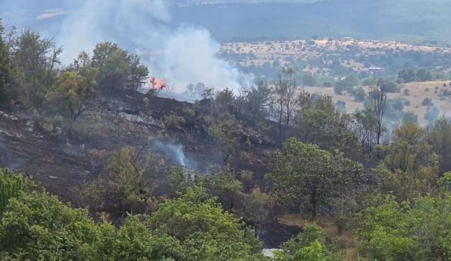 Σε ύφεση η φωτιά στην Κοζάνη: Ήχησε το 112, εκκενώθηκε το πανεπιστήμιο Δυτικής Μακεδονίας - Δείτε βίντεο