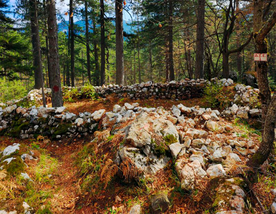 Τα νοσοκομεία του ΔΣΕ στον Γράμμο και το Βίτσι