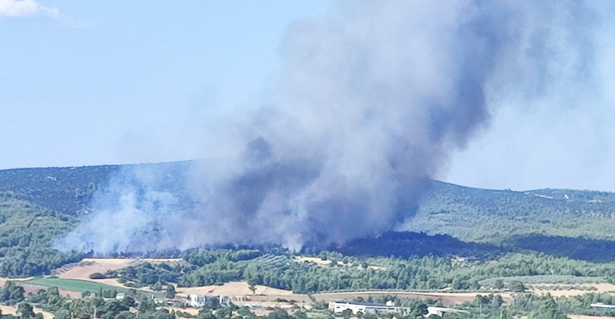 Φωτιά τώρα στο Ασπροχώρι Ωρωπού: Κοντά στο χωριό οι φλόγες, 112 για εκκένωση - Επιχειρούν 20 εναέρια