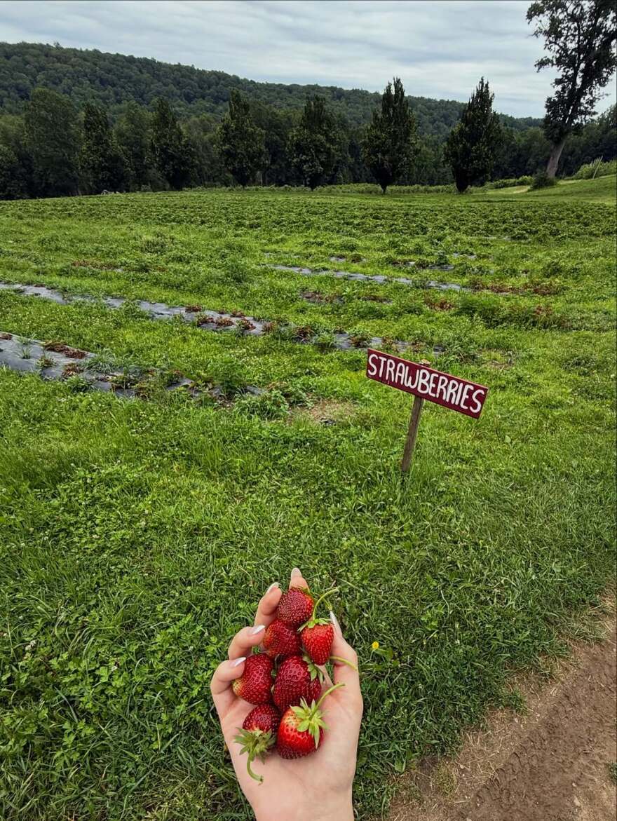 Πιτ Ντέιβιντσον: Τα πρώτα κοινά στιγμιότυπα με την Έλσι Χιούιτ