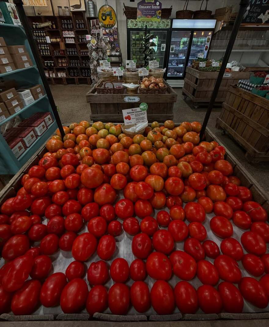 Πιτ Ντέιβιντσον: Τα πρώτα κοινά στιγμιότυπα με την Έλσι Χιούιτ