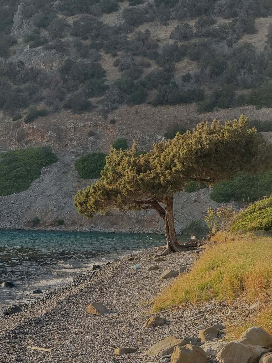 Η Ευγενία Σαμαρά απολαμβάνει το ηλιοβασίλεμα με το μαγιό της - Δείτε φωτογραφίες