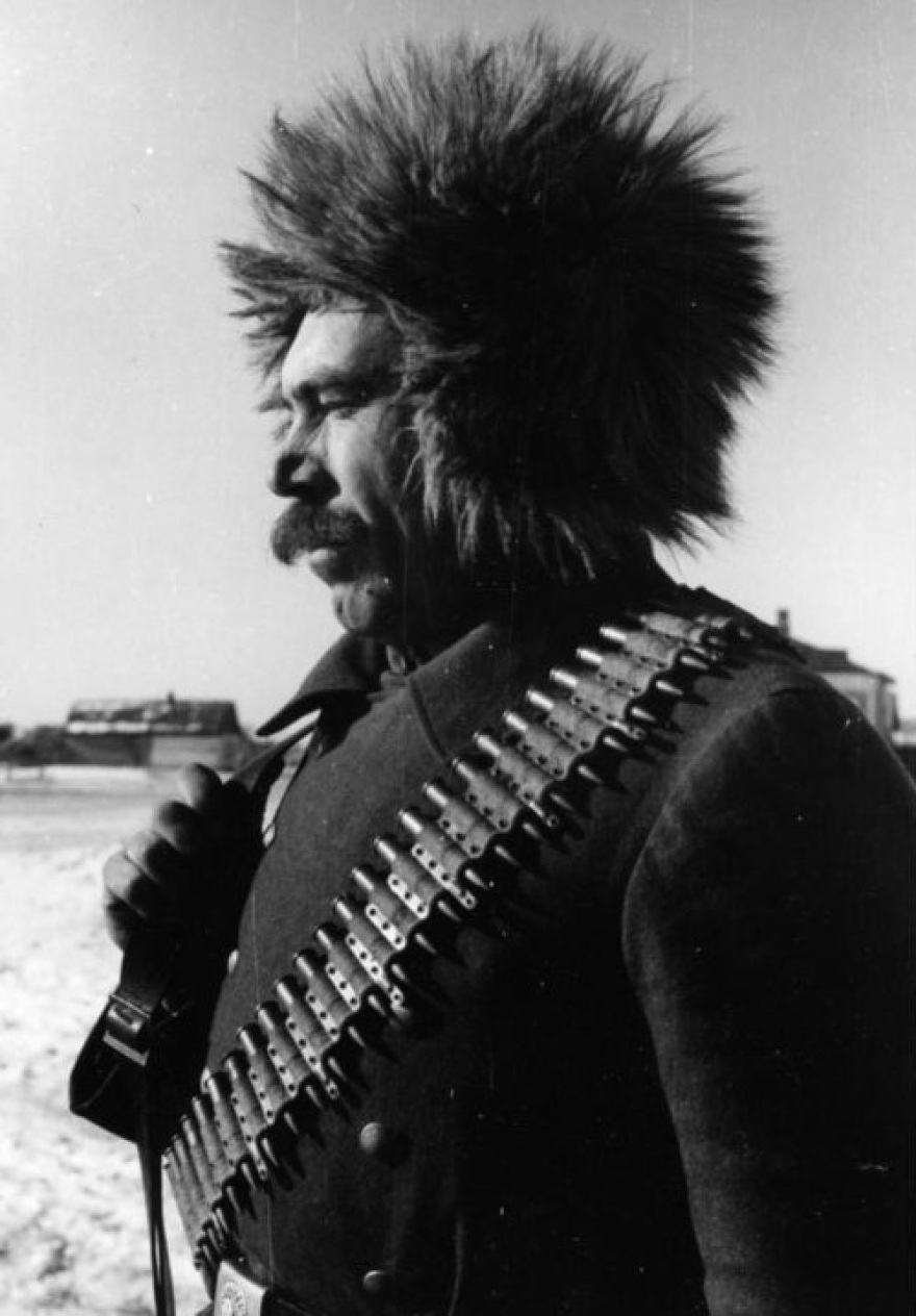 Οι εθελοντές που πολέμησαν στο πλευρό του Χίτλερ: Οι Σοβιετικοί, Αλβανοί Μουσουλμάνοι και η Μπλε Μεραρχία των φρανκικών