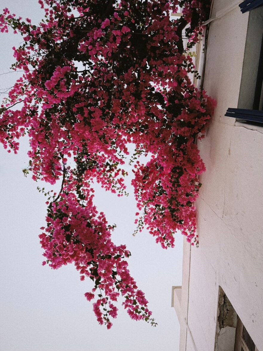 Χριστίνα Μπόμπα: Το φωτογραφικό άλμπουμ από τις οικογενειακές διακοπές της στην Πάρο