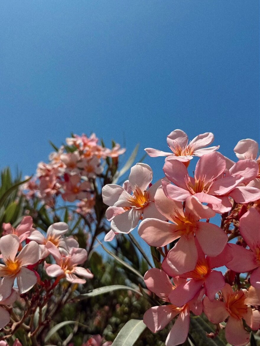 Χριστίνα Μπόμπα: Το φωτογραφικό άλμπουμ από τις οικογενειακές διακοπές της στην Πάρο