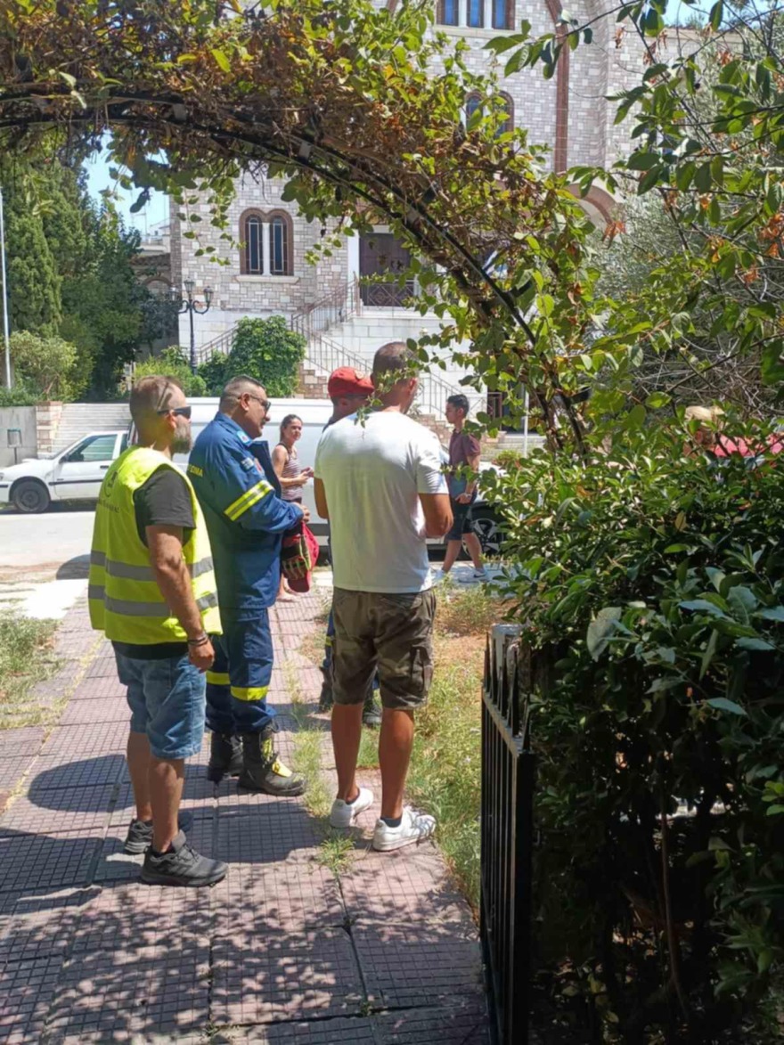 Φίδι βρέθηκε στο κέντρο της Καλαμαριάς - Δείτε βίντεο και φωτογραφίες