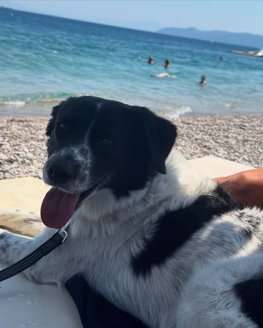 Η Δώρα Παντέλη δείχνει την καθημερινότητά της στον 9ο μήνα της εγκυμοσύνης