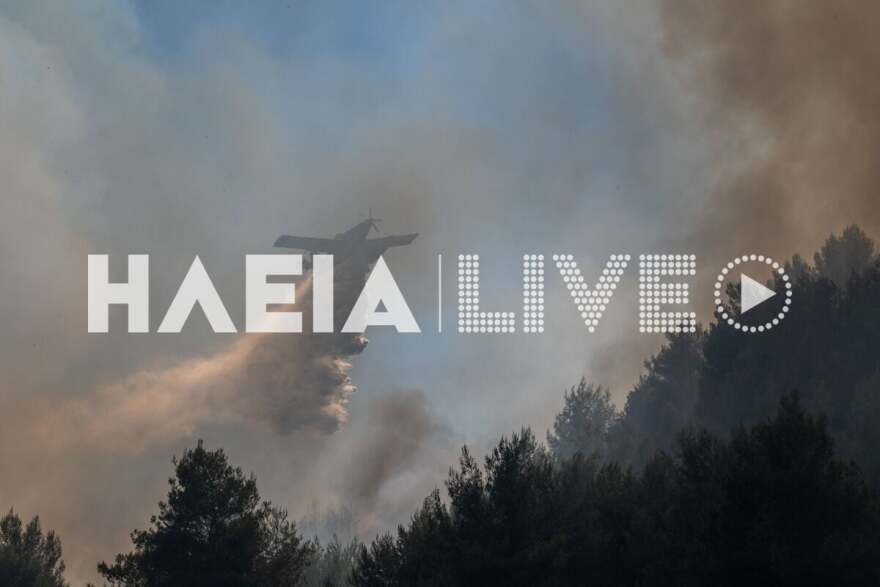 Βελτιωμένη η εικόνα στην πυρκαγιά στο Γεράκι Αμαλιάδας στην Ηλεία - Ξεκίνησαν τις ρίψεις εναέρια μέσα