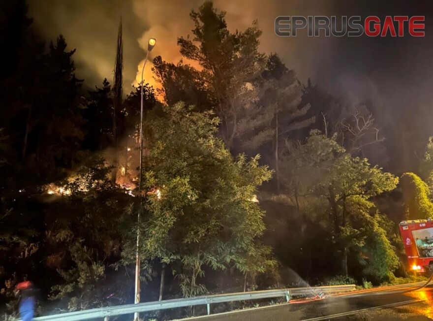 Φωτιά τώρα στους Λιγκιάδες Ιωαννίνων - Επιχειρεί η Πυροσβεστική