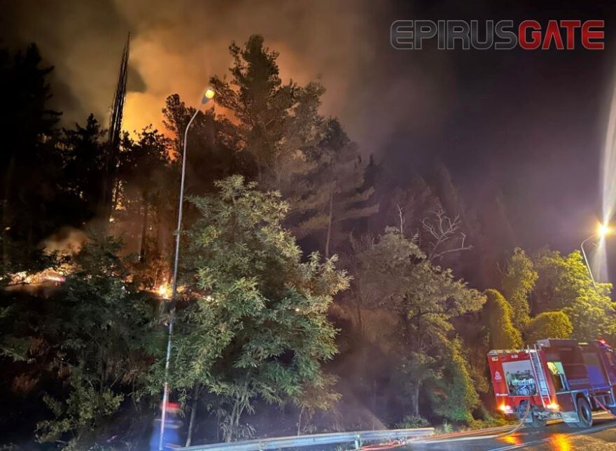 Φωτιά τώρα στους Λιγκιάδες Ιωαννίνων - Επιχειρεί η Πυροσβεστική