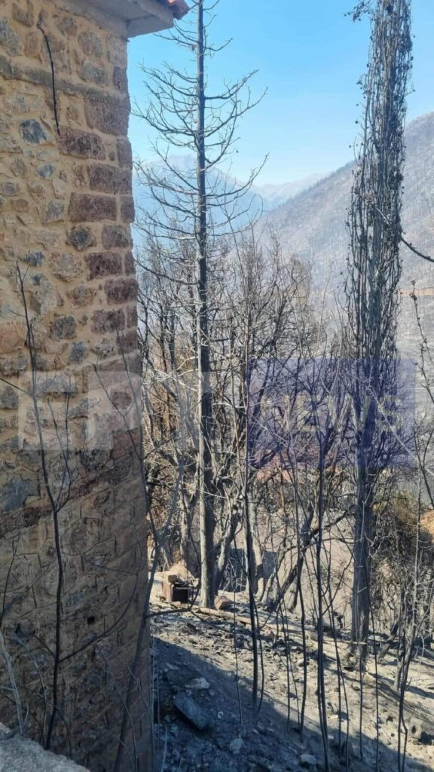 Η επόμενη μέρα στον Φενεό: Στάχτη 12.000 στρέμματα δάσους, ζημιές σε σπίτια και καλλιέργειες  - Δείτε φωτογραφίες