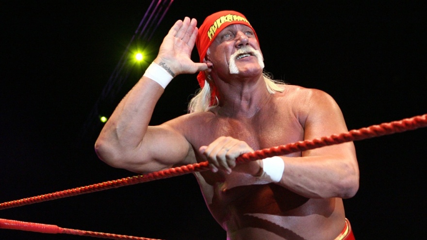 hulk-hogan-art
