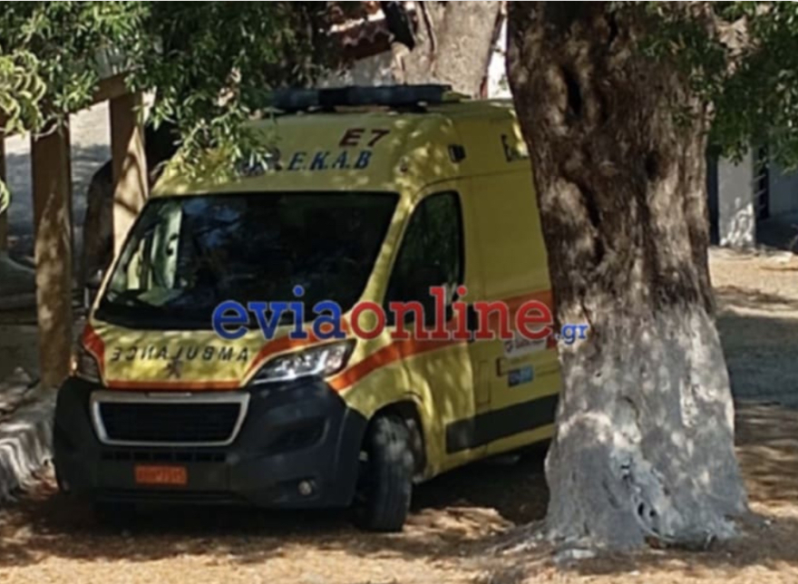 Εντοπίστηκαν σώοι οι δύο πεζοπόροι που είχαν χαθεί στην Εύβοια