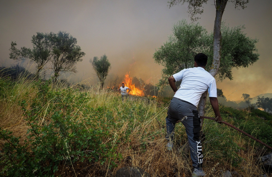 Φωτιά στην Εύβοια: Μάχη με το ανεξέλεγκτο πύρινο μέτωπο - Ενεργοποιήθηκε το 112 για εκκενώσεις