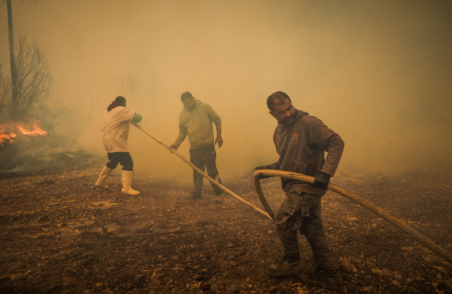 Φωτιά στην Εύβοια: Μάχη με το ανεξέλεγκτο πύρινο μέτωπο - Ενεργοποιήθηκε το 112 για εκκενώσεις